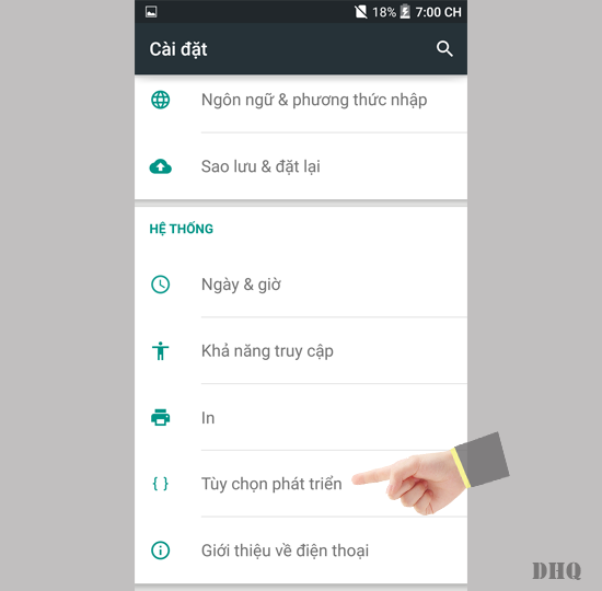 Chọn tùy chọn nhà phát triển